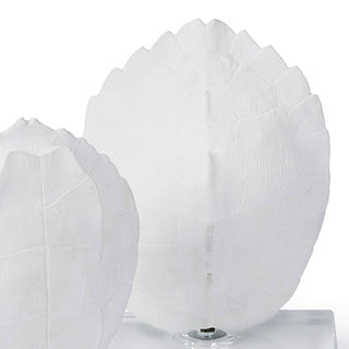Turtle Shell on Crystal

