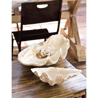 Imperial Clam Large
