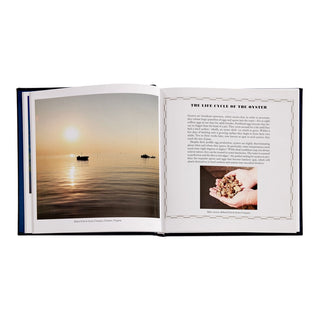 Oysters: A Celebration in the Raw Leather Bound
