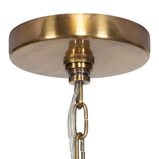 Water Hyacinth   4 Light Pendant
