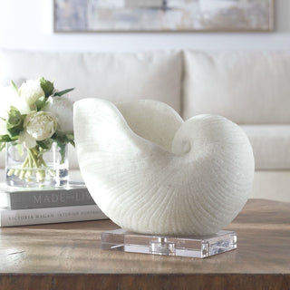 Nautilus Shell Sculpture

