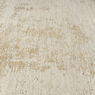 Vida Transitional Abstract Indoor Area Rug
