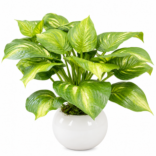 Greenery in White Glass Pot
