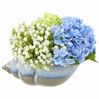 Hydrangea in Shell Vase
