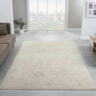 Velarde Traditional Abstract Indoor Area Rug
