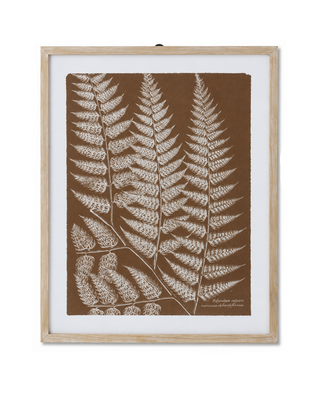 27.75 Inch Natural Wood Framed Brown & White Fern Print IV

