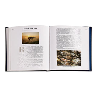 Oysters: A Celebration in the Raw Leather Bound
