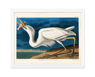 White Pelican with Orange Fish   Online Only
