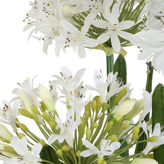 Purity Agapanthus Centerpiece
