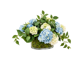 White & Blue Hydrangea in Glass Vase with Moss
