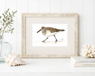 Sandpiper II Print
