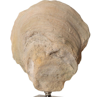 Oyster Shell Sculptures   Set of 2
