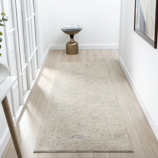 Velarde Traditional Abstract Indoor Area Rug
