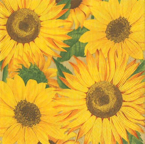 Sunflowers Napkin Luncheon