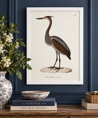 Heron
