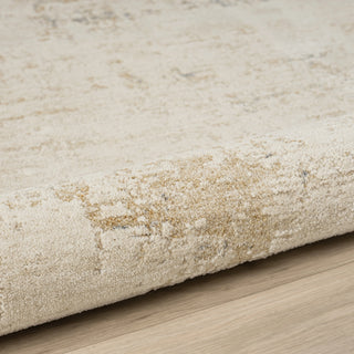 Vida Transitional Abstract Indoor Area Rug
