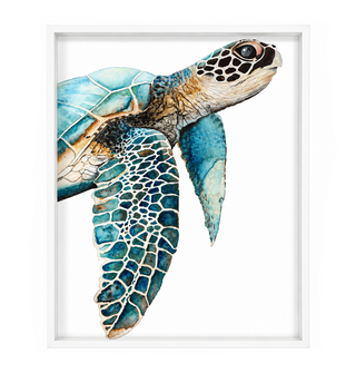 Great Sea Turtle
