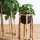 Boca Collection Plant Stand - Online Only