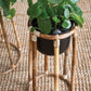 Boca Collection Plant Stand - Online Only