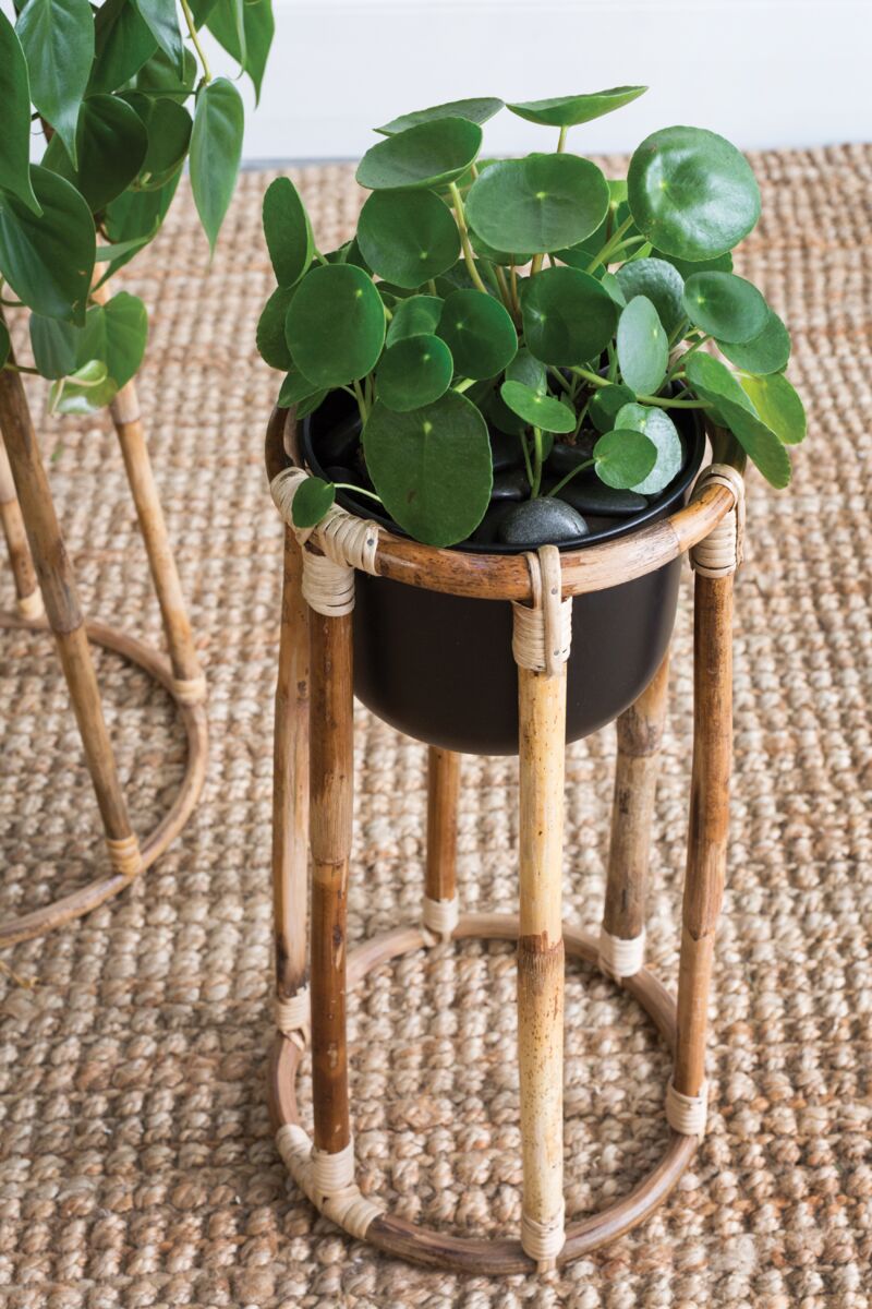 Boca Collection Plant Stand - Online Only