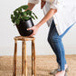 Boca Collection Plant Stand - Online Only