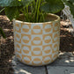 Sun Dial Planter - Online Only