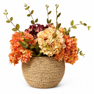 Beige, Orange & Burgundy Hydrangea in Large Pot
