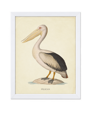 Heron E
