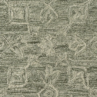 Cozyra Transitional Floral Indoor Area Rug
