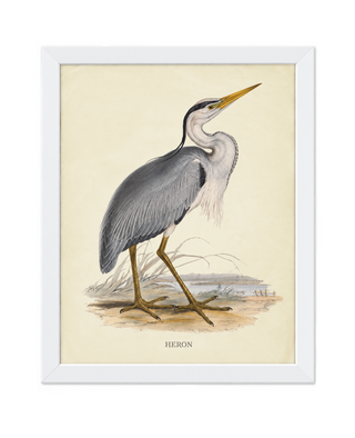 Heron E
