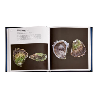 Oysters: A Celebration in the Raw Leather Bound
