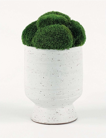 Mood Moss In White URN-Large