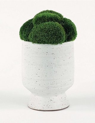 Mood Moss In White URN Large
