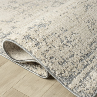 Vida Transitional Abstract Indoor Area Rug
