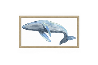 Graceful Orca 1
