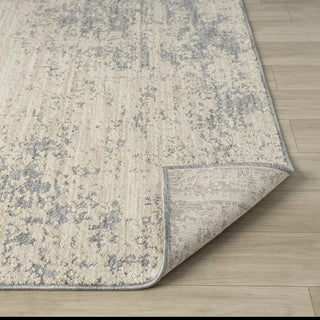 Vida Transitional Abstract Indoor Area Rug
