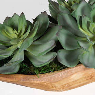 Yuma Succulent Centerpiece
