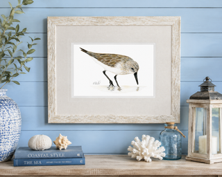 Sandpiper I Print
