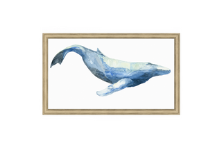 Graceful Orca 2
