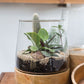 Farmhouse Terrarium - Online Only