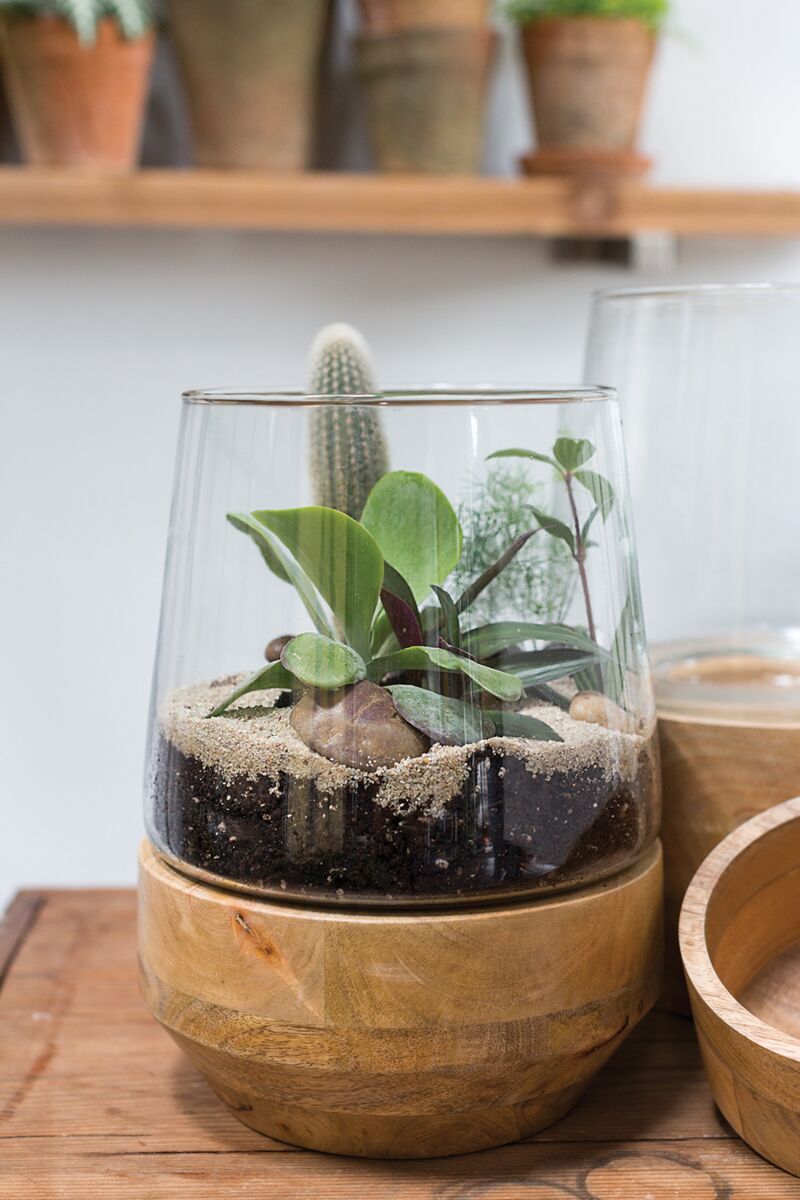 Farmhouse Terrarium - Online Only