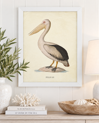 Pelican F   Online Only

