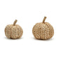 Fall Fanfare Pumpkins