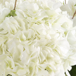 Anastasia Hydrangea Centerpiece
