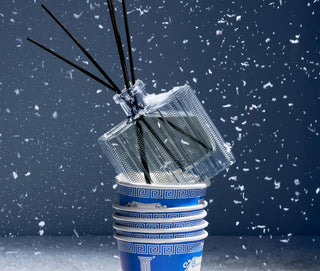 Reed Diffuser 5.9 fl oz.   Blue Cypress & Snow
