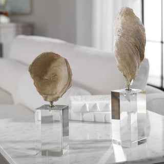 Oyster Shell Sculptures   Set of 2
