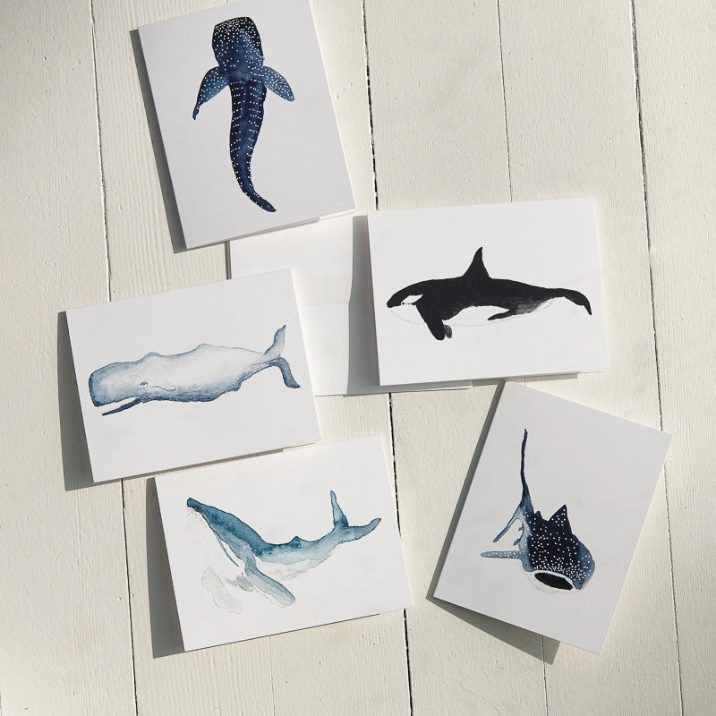 Watercolor Humpback Whale Note Card (Single Card)