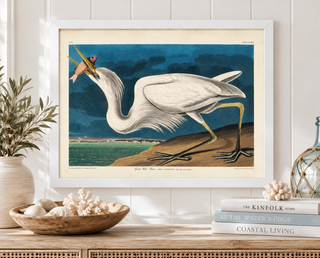 White Pelican with Orange Fish   Online Only
