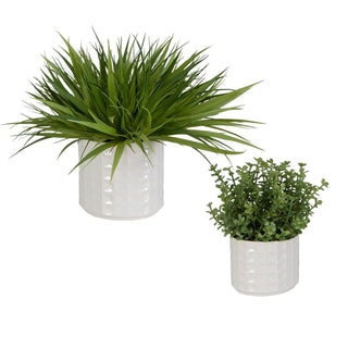 Edgewood Greenery   Set of 2

