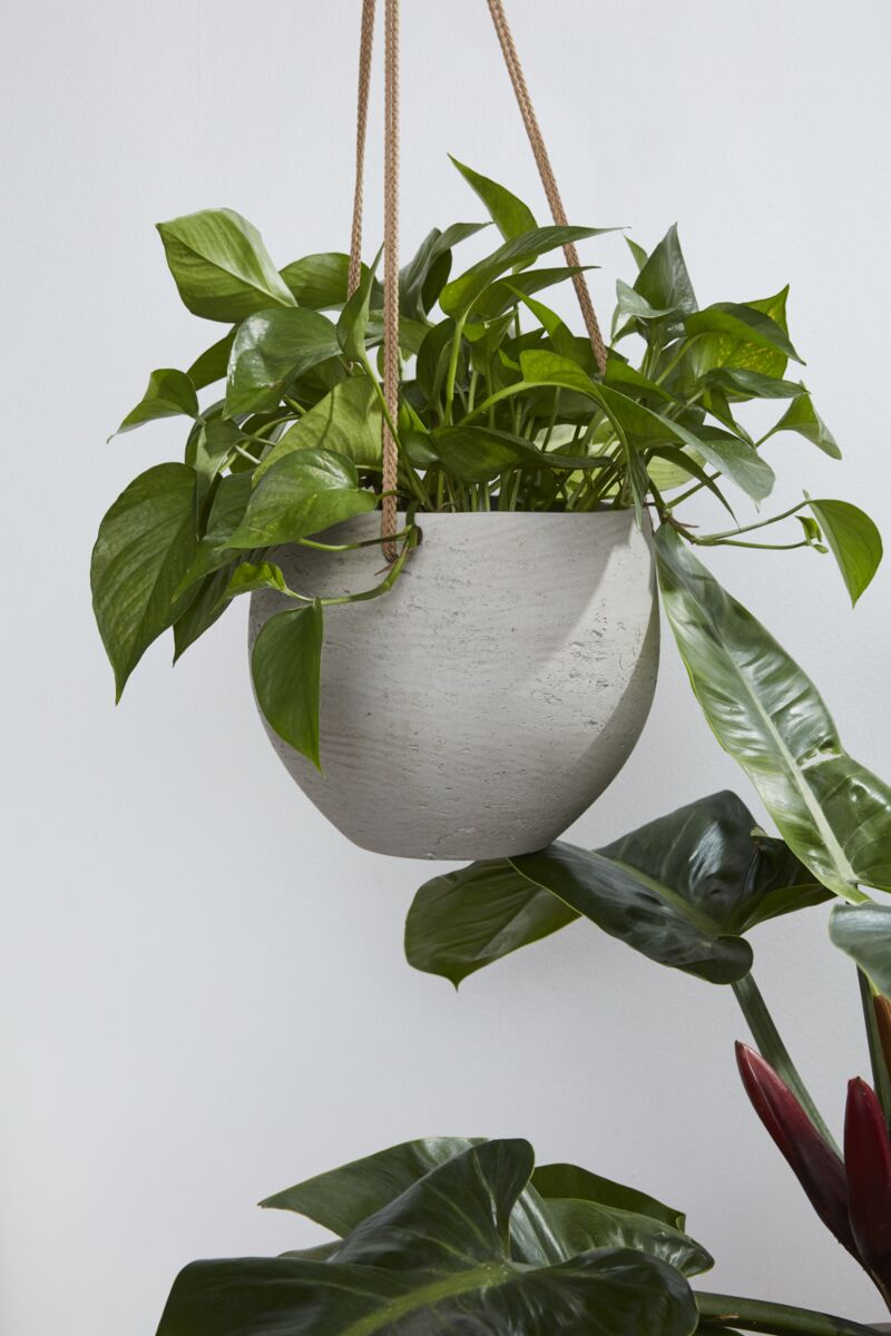 Figueroa Collection Hanging Pot - Online Only